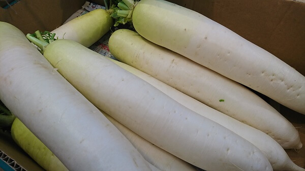 くまパワj 年1月27日 月 旬感 中継 暖冬で今野菜が安い 愛マート水前寺