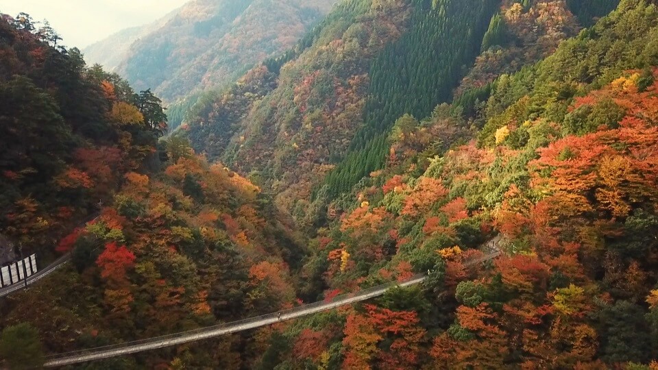 くまパワ 年10月26日 月 特集 カメラマンが教える 紅葉スポット 紅葉が楽しめるお蕎麦屋
