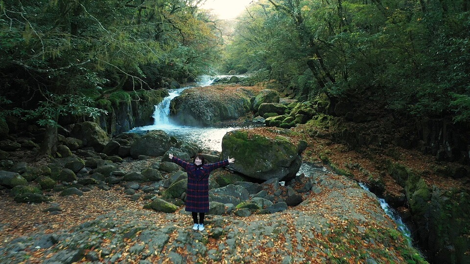 くまパワ 年11月10日 火 きょうくま 菊池渓谷 紅葉見ごろ くまパワ 年11月10日 火 きょうくま 菊池渓谷 紅葉見ごろ
