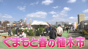 くまパワ 2021年2月8日 月 きょうくま くまもと春の植木市 今日から開幕
