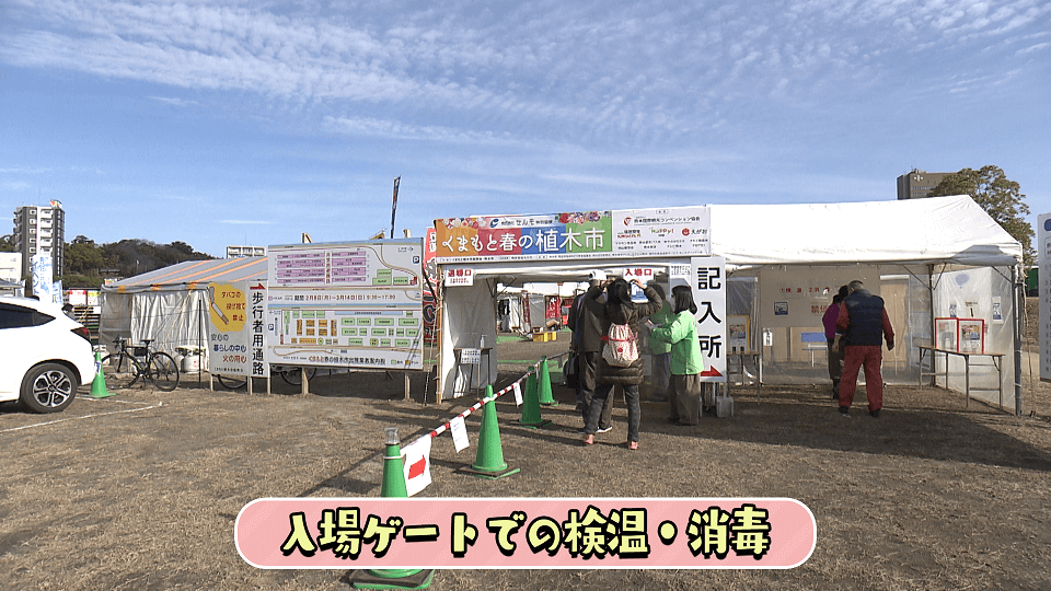 くまパワ 21年2月8日 月 きょうくま くまもと春の植木市 今日から開幕