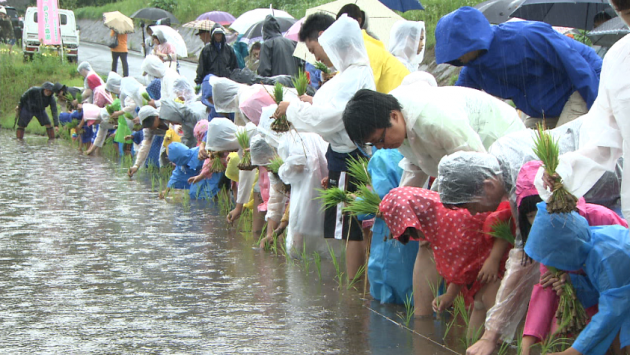 0625田植え