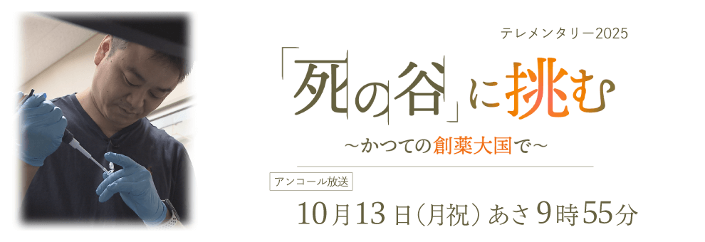 死の谷に挑む～かつての創薬大国で～